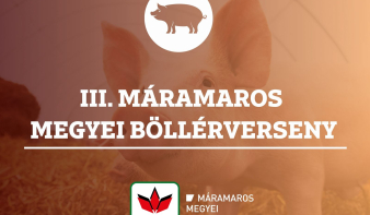 Az RMDSZ harmadik alkalommal rendezi meg a máramarosi böllérversenyt